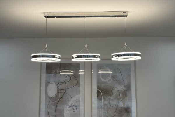 Exelon Electrics