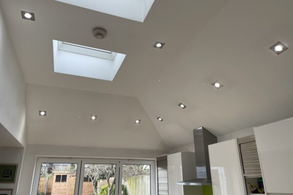 Exelon Electrics