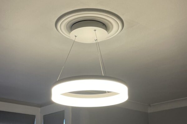 Exelon Electrics