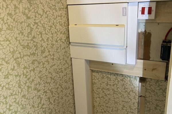 Exelon Electrics