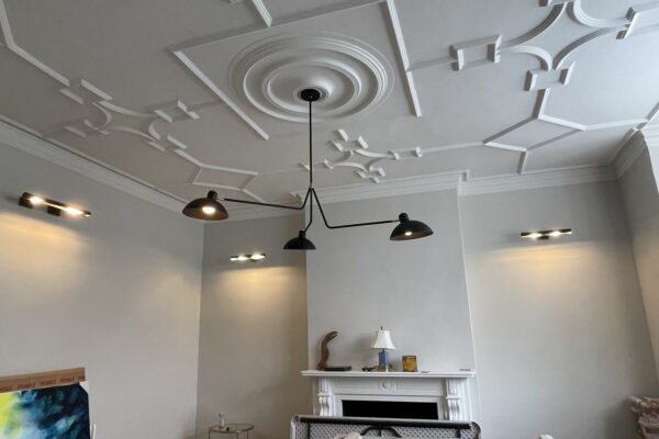 Exelon Electrics