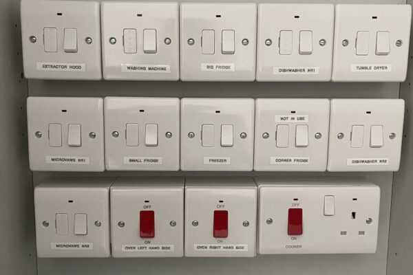 Exelon Electrics