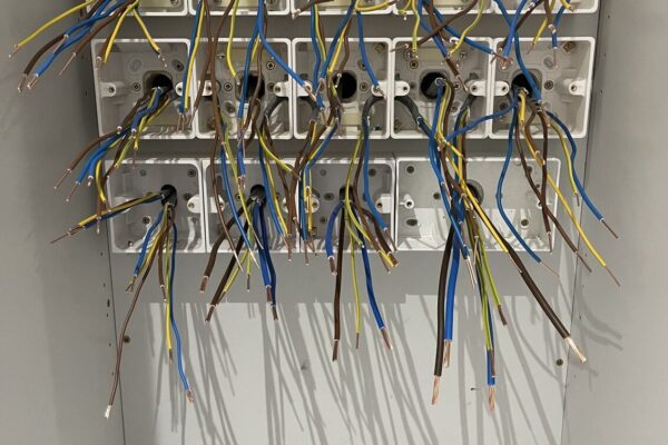 Exelon Electrics