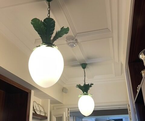 Exelon Electrics