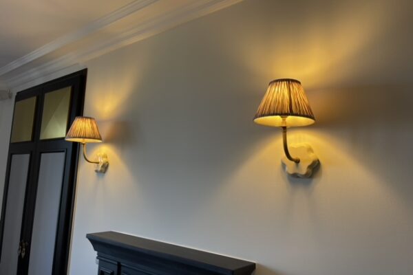 Exelon Electrics