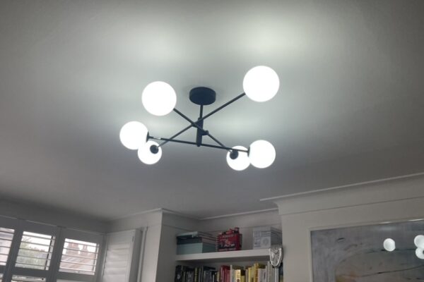 Exelon Electrics