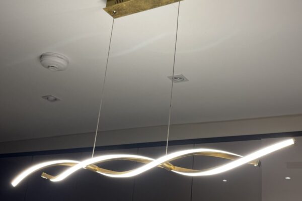 Exelon Electrics