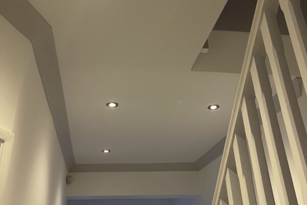 Exelon Electrics