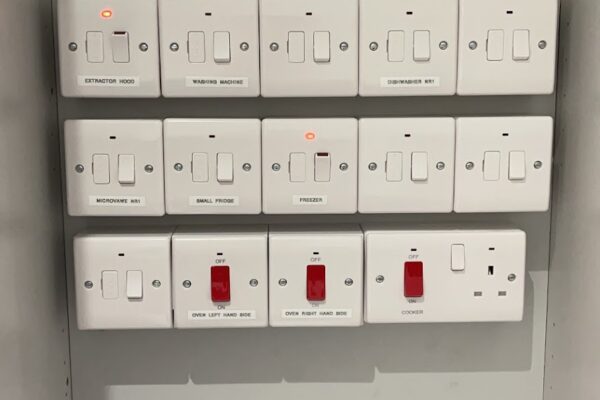 Exelon Electrics