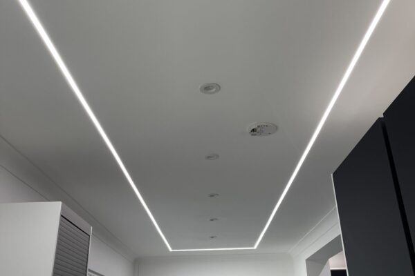 Exelon Electrics
